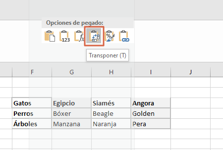 Como girar o rotar una tabla en Microsoft Word con Microsoft Excel. Paso 3